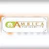 Ambica Cotseeds Ltd. Ambica Cotseeds Ltd.