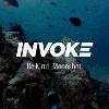 INVOKE INVOKE