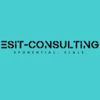 ESIT-Consulting