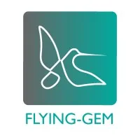 Flying-Gem Consulting