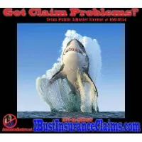 InsuranceBusters.net