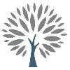 Lucent Elm Wealth Management Lucent Elm Wealth Management