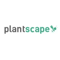 Plantscape
