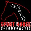 Sport Horse Chiropractic Sport Horse Chiropractic