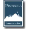Pinnacle Intertech Pinnacle Intertech