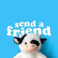 SendAFriend SendAFriend