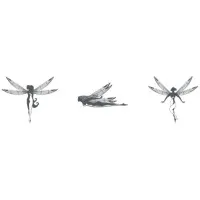 The Damselfly Collection