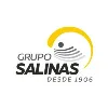 Grupo Salinas Grupo Salinas