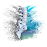 California Spinecare Institute, Inc. California Spinecare Institute, Inc.