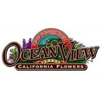Ocean View Flowers