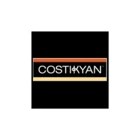 Costikyan Inc