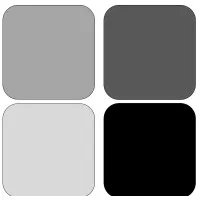 Black Box Principals