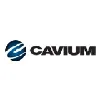 Cavium Inc Cavium Inc