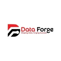 Data Forge Data Forge