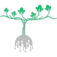 Vintality: Tech + Terroir