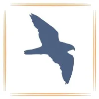 Peregrine: Business Products & Services