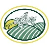 Mesa Vineyard Management Mesa Vineyard Management