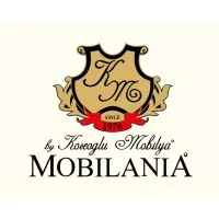 KOSEOGLU MOBILYA LLC KOSEOGLU MOBILYA LLC