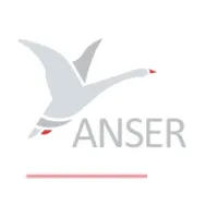 Anser Implants