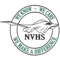 New Vision High School