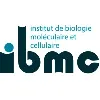IBMC - CNRS IBMC - CNRS