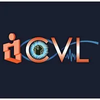 iCVL - The interdisciplinary Computational Vision Lab