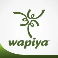 Wapiya Consultoria em Recursos Humanos