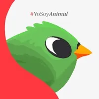 Animal Político email format