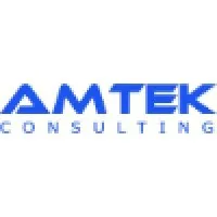 AMTEK CONSULTING