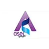 AselGrup AselGrup