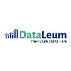 Dataleum Dataleum