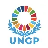 UNGP for SDGs UNGP for SDGs