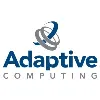 Adaptive Computing