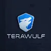 TeraWulf TeraWulf