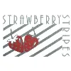 Strawberry Stripes Strawberry Stripes