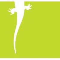 Lizard Investors LLC