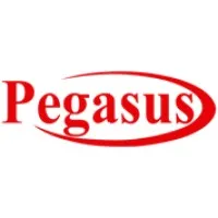 PEGASUS International Computer Co.- KUWAIT