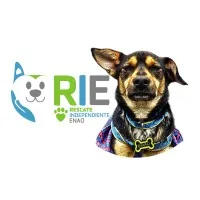 RIE