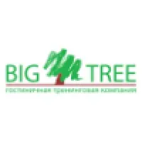 Big Tree - Customer Experience & Service Design