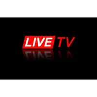 MTV Channel