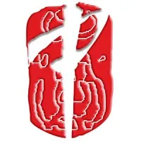 Design & Digital Technology Services Ltd.