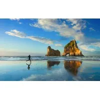 Tax Solutions-FIRPTA Consulting