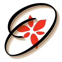 O'Dynamics International