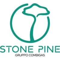 STONE PINE