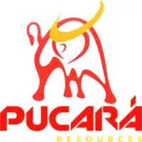 Pucara Resources Corp.