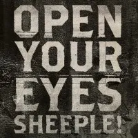 OYES!