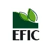 Egyptian Financial and Industrial Company Egyptian Financial and Industrial Company