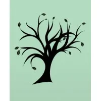 Nexus Teen Academy, LLC