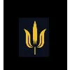 Padma Group Holding Corporation Padma Group Holding Corporation
