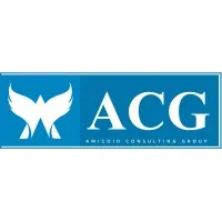 Amicoid IT Consulting